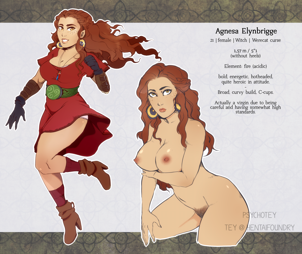 Agnesa reference sheet 2017