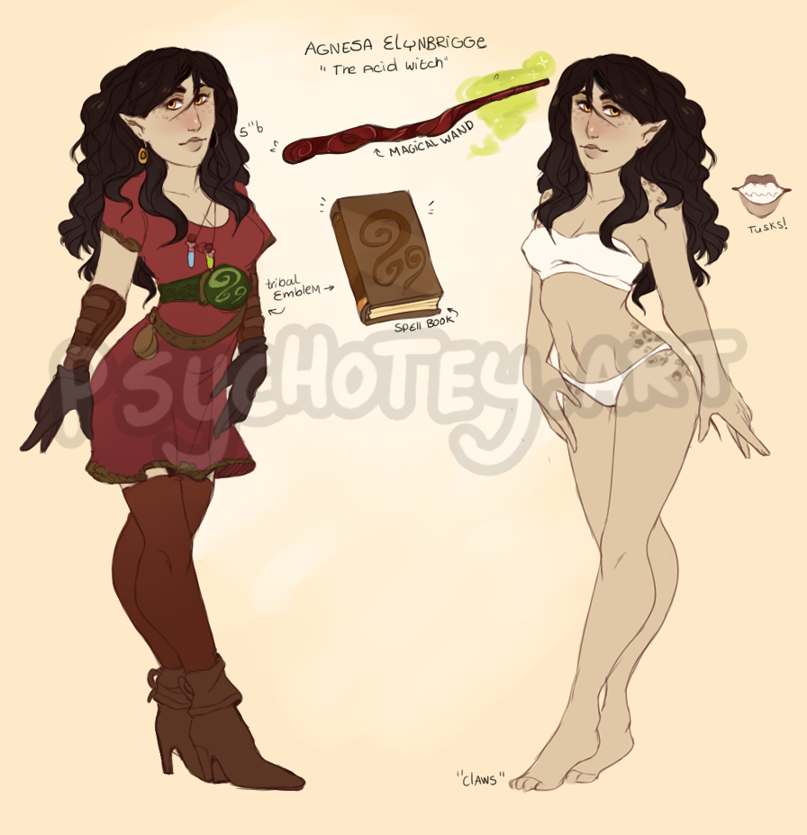 Agnesa reference sheet 2015